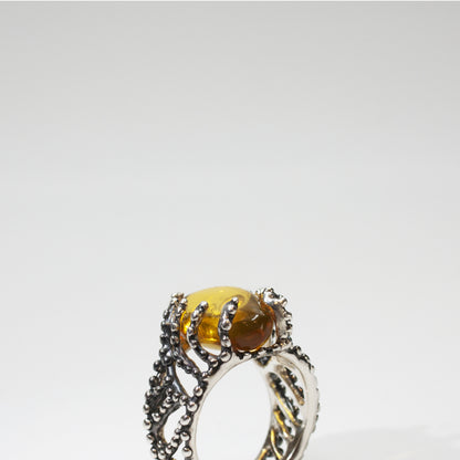 Anello Ambra